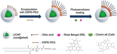 Near-Infrared Light-Triggered Photodynamic Therapy and Apoptosis Using Upconversion Nanoparticles With Dual Photosensitizers